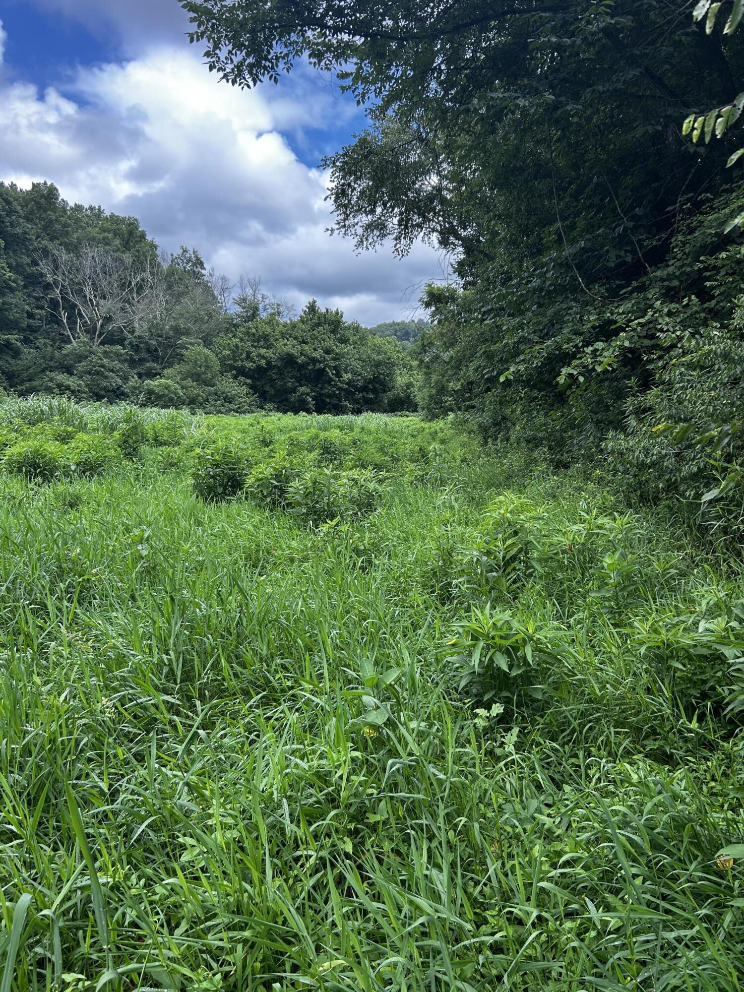 687 H M Garrison Rd Road Property Photo 2