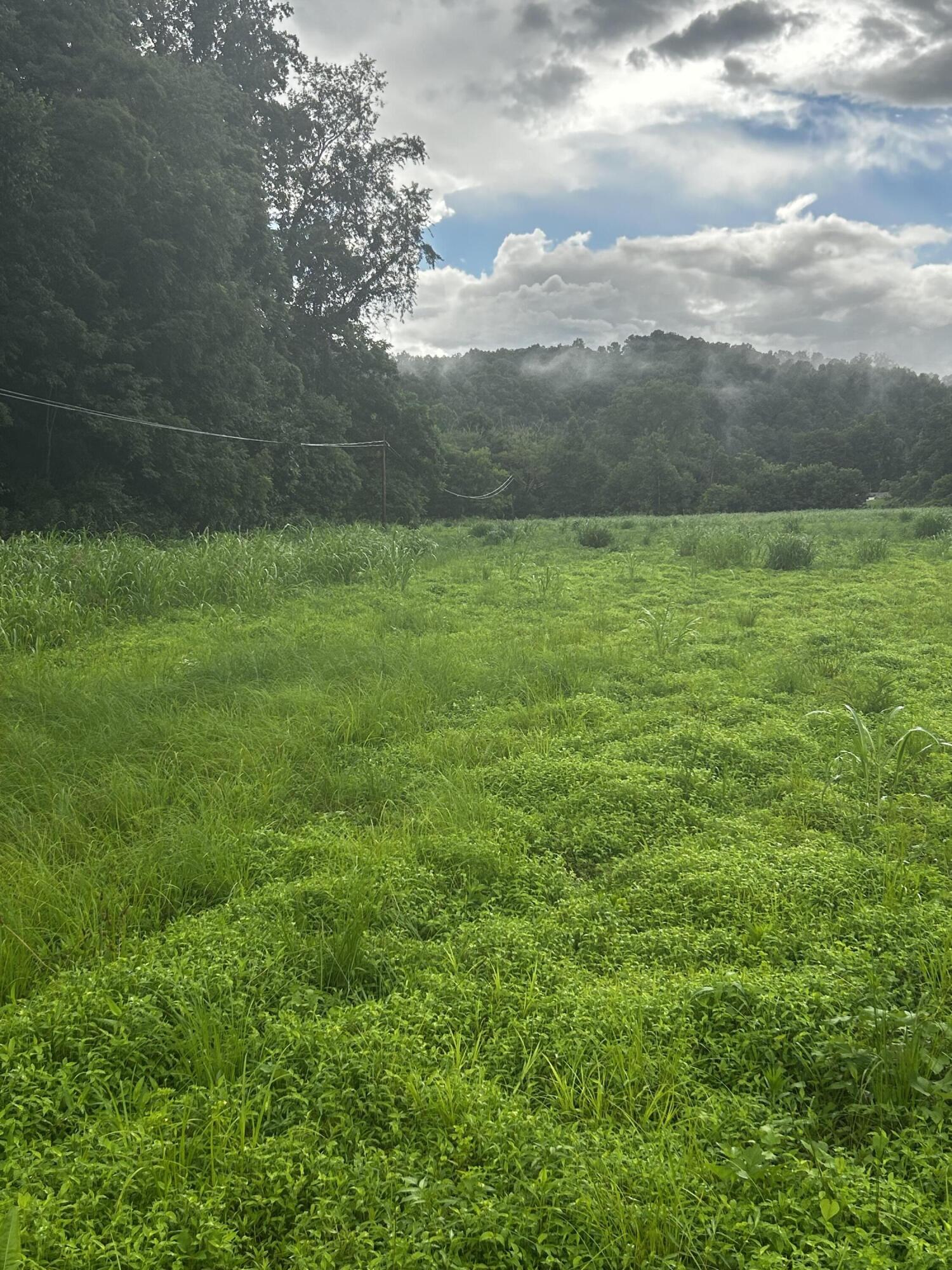 687 H M Garrison Rd Road Property Photo 10