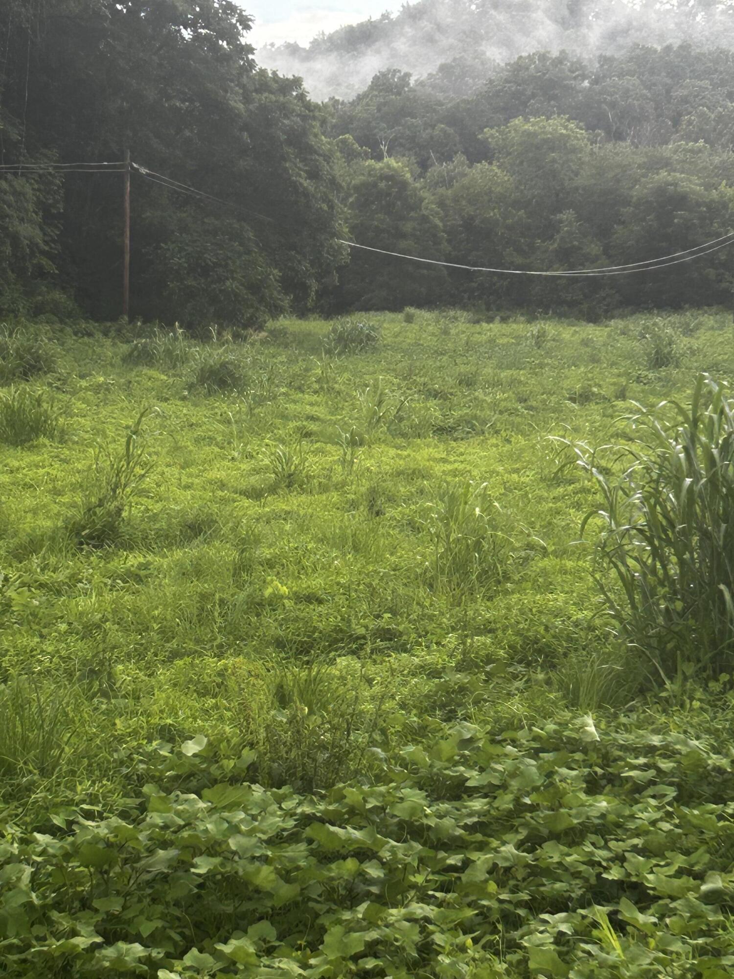 687 H M Garrison Rd Road Property Photo 13
