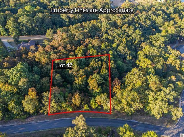 Lot 47 Dock Drive Property Photo 11