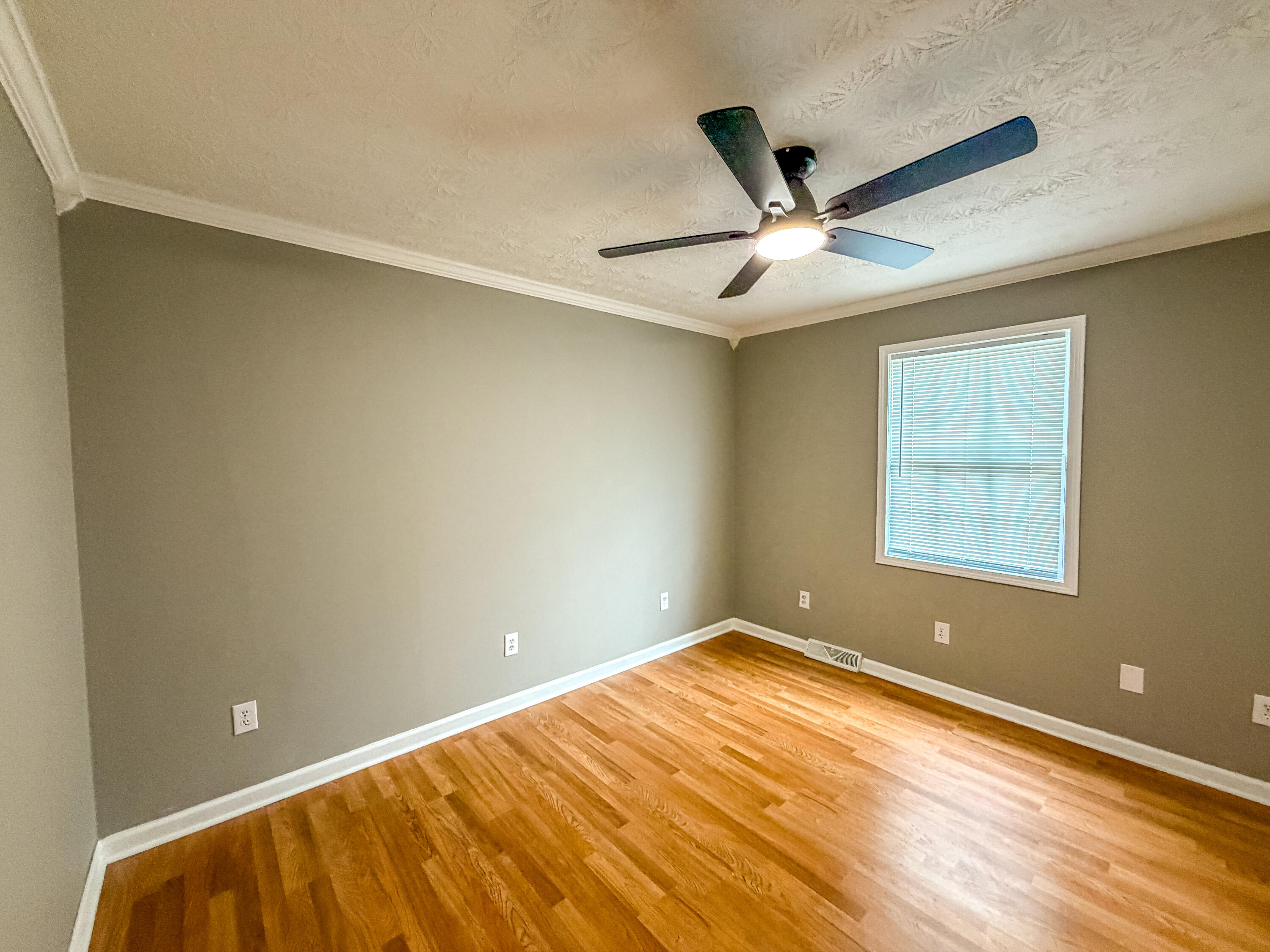34 Brewer Lane Property Photo 29