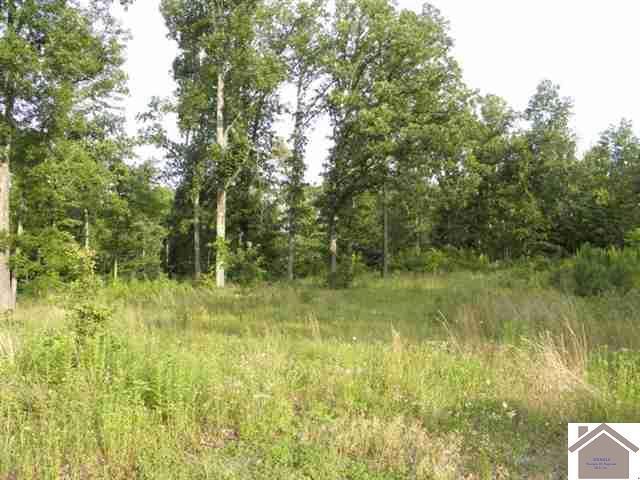 Lot 33 Woodridge Drive Property Photo 2