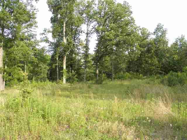 Lot 10 Woodridge Drive Property Photo 2