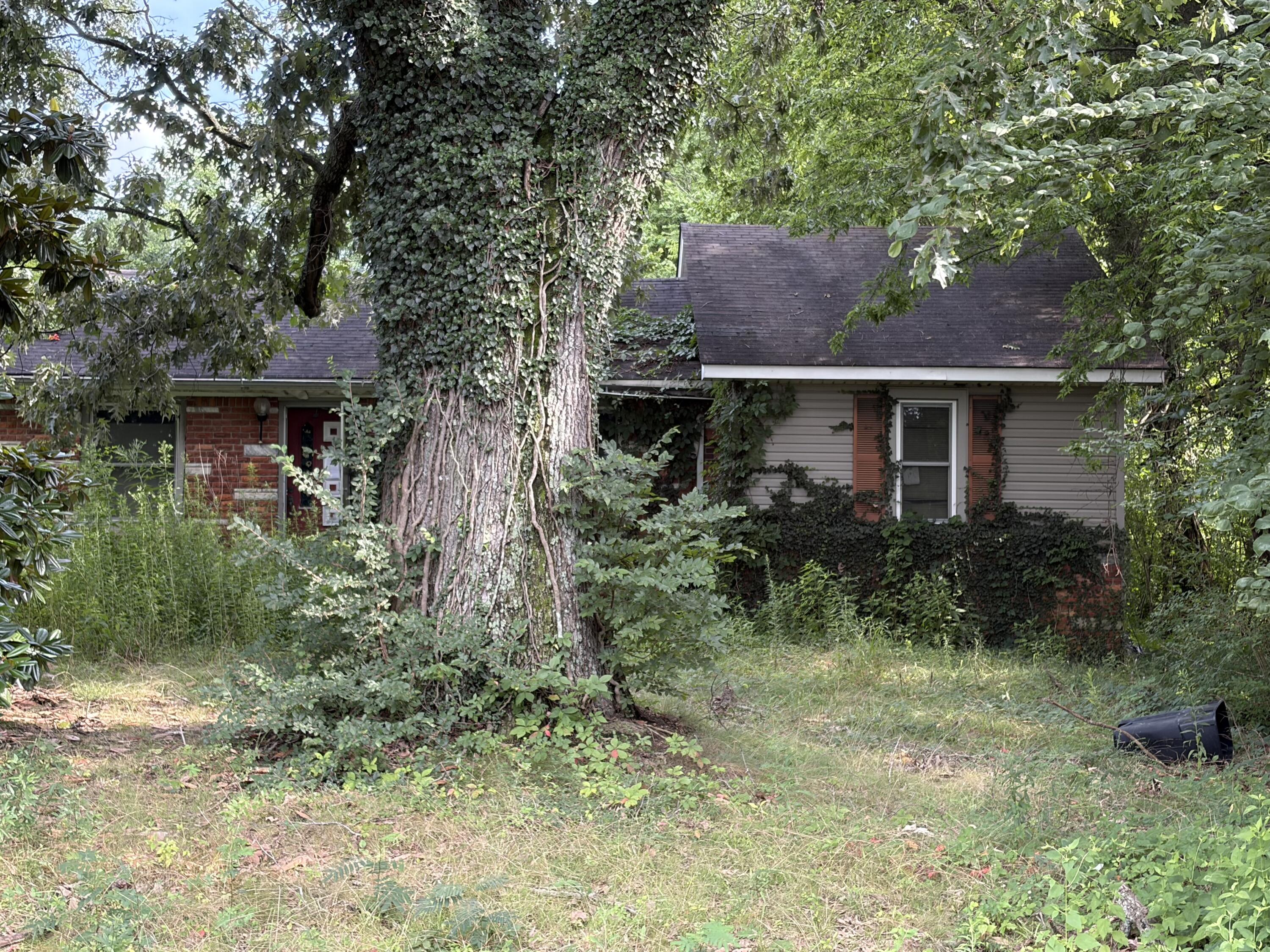 2720 Lovelaceville Florence Station Road Property Photo 1