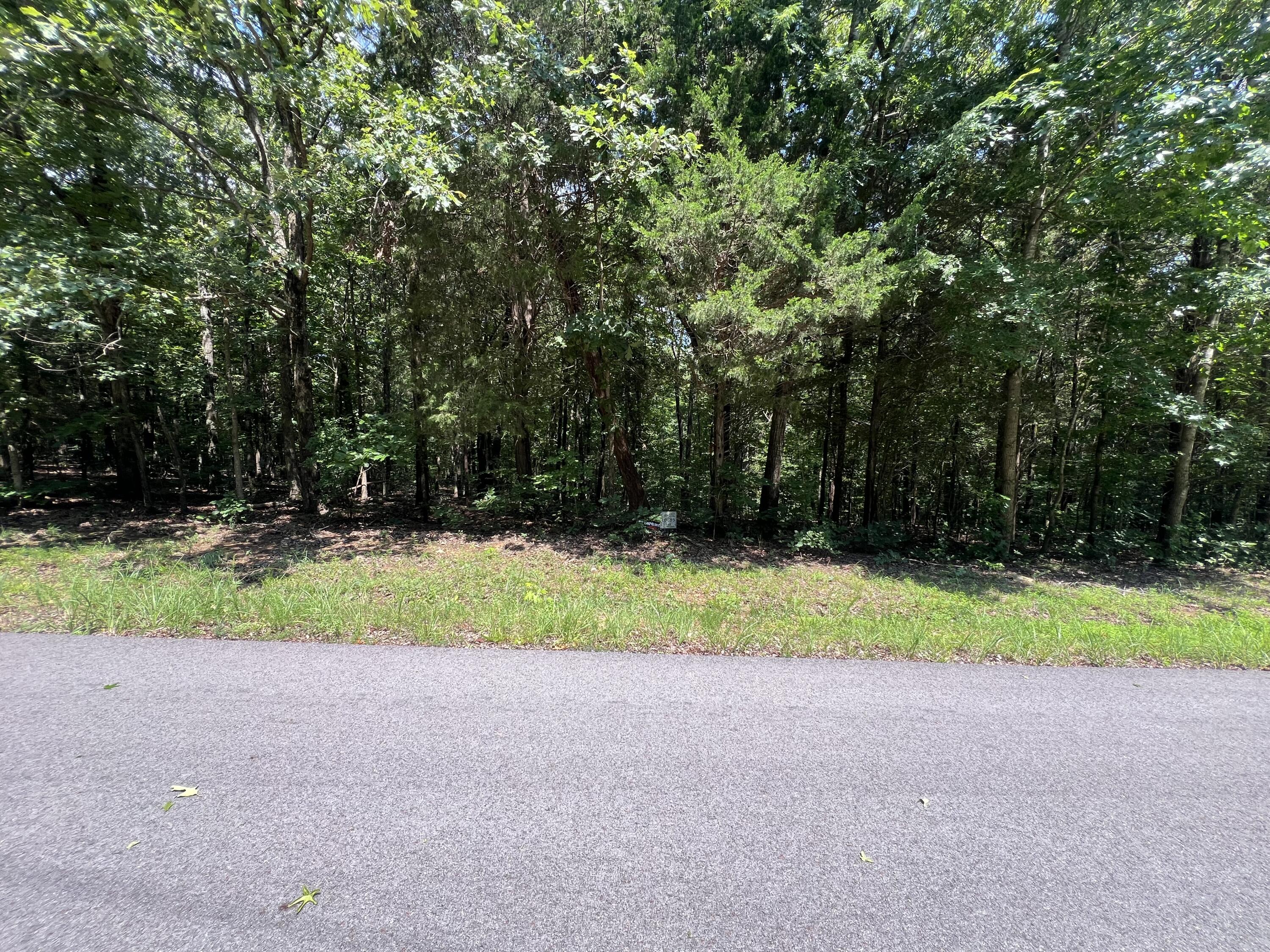Lot 53 Baypoint Lane Property Photo 6