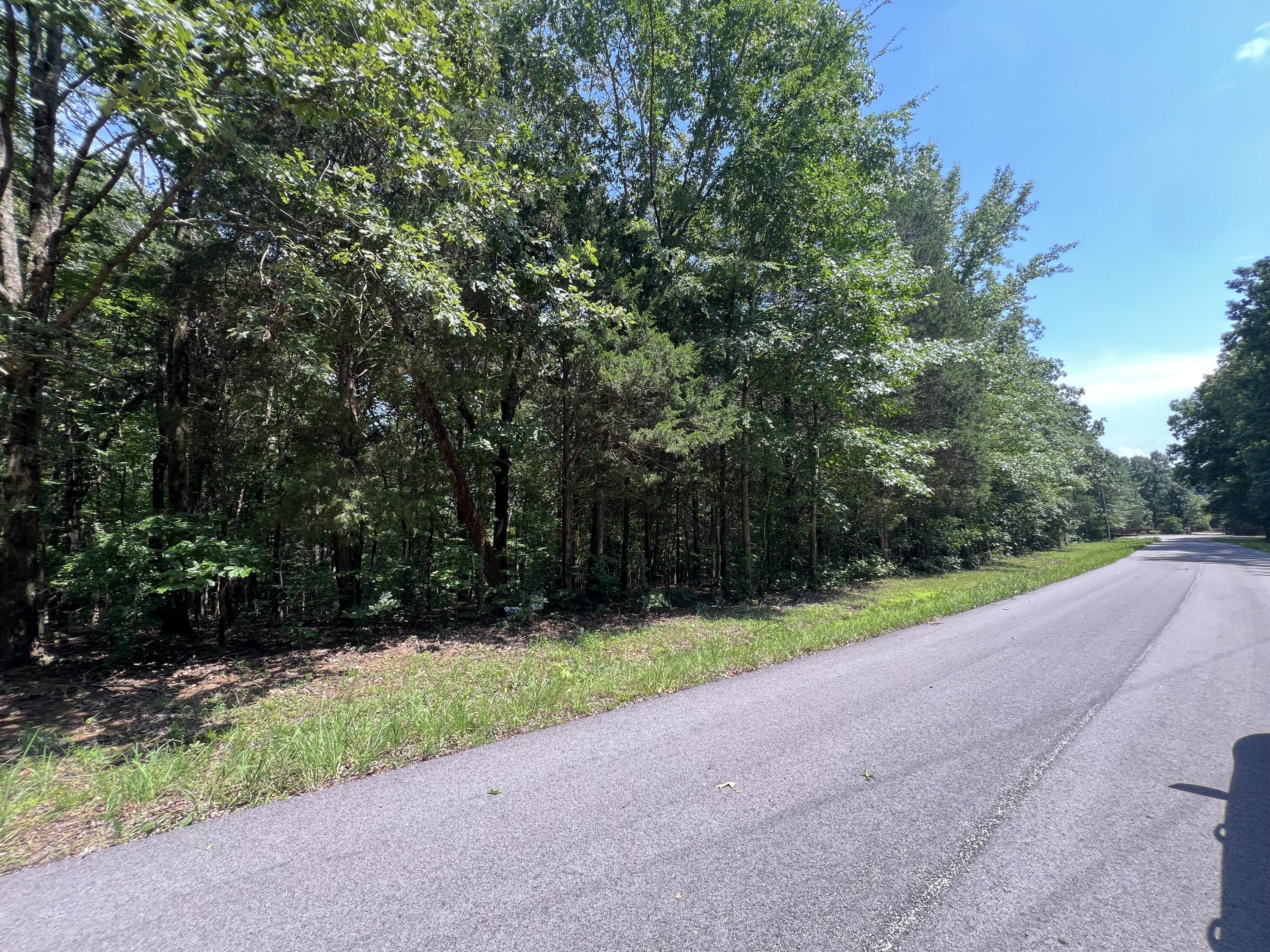 Lot 53 Baypoint Lane Property Photo 7