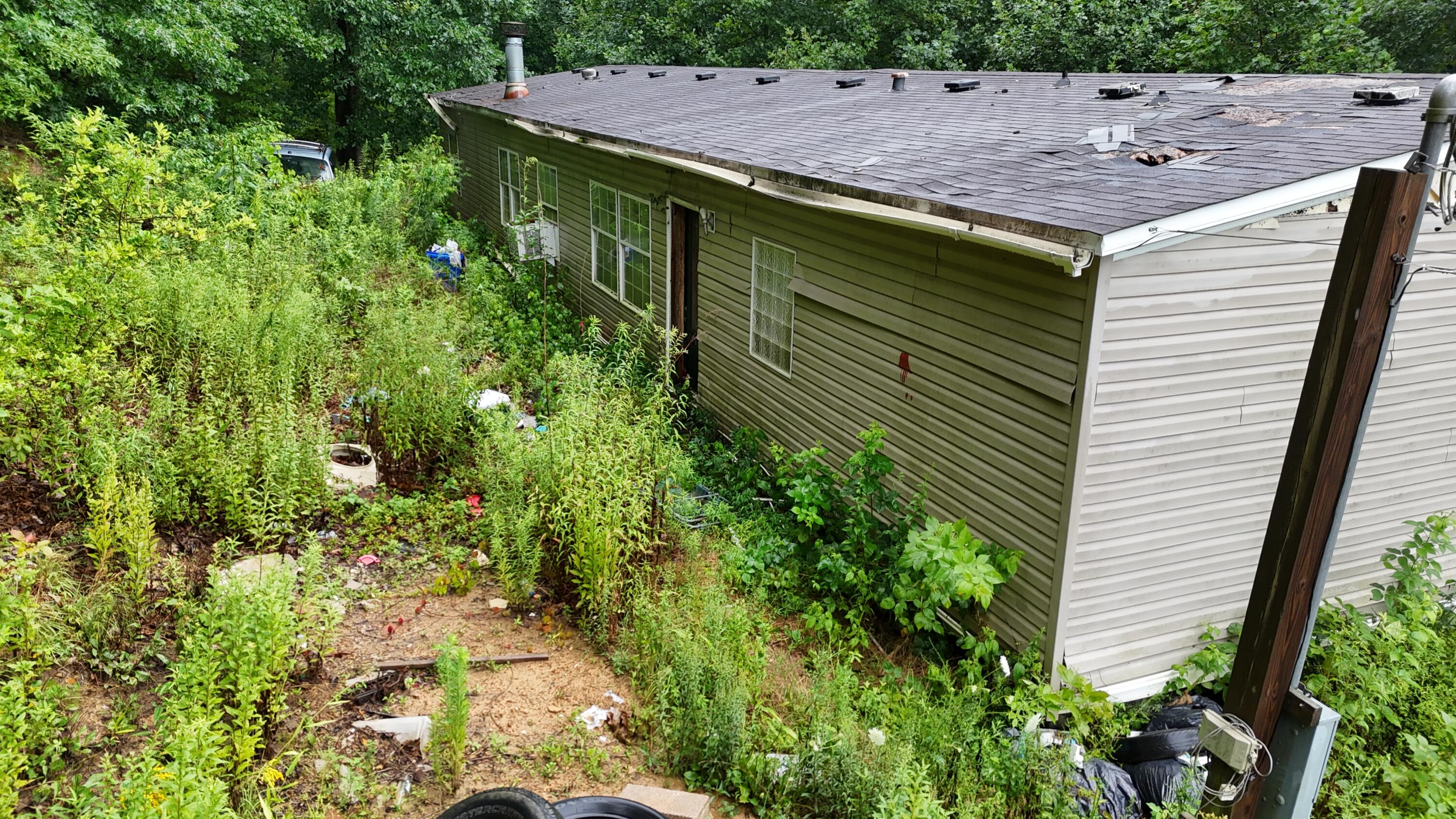 50 Luke Street Property Photo 6