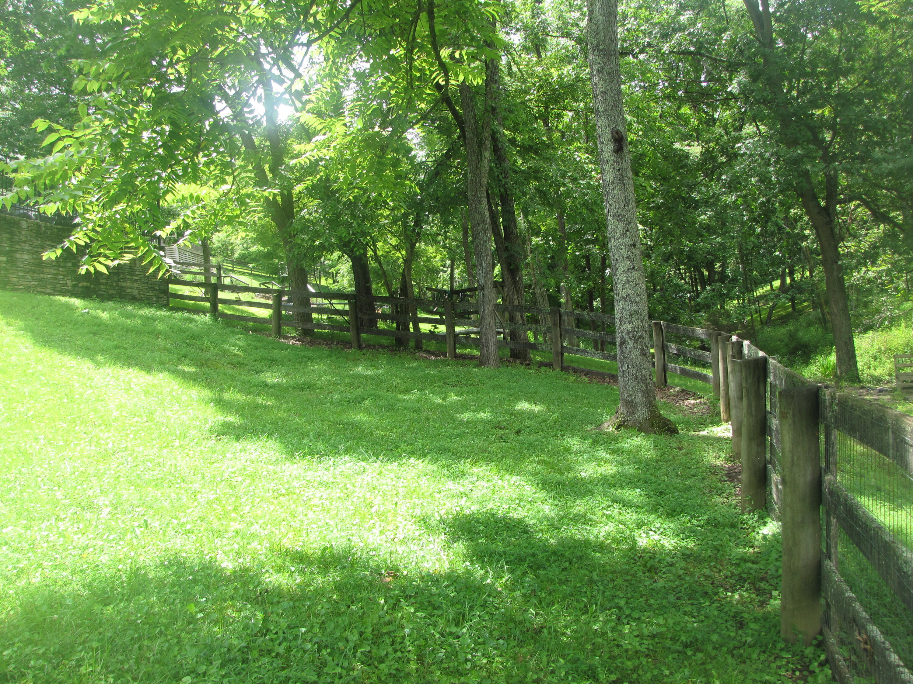 108 Sheldrake Court Property Photo 15