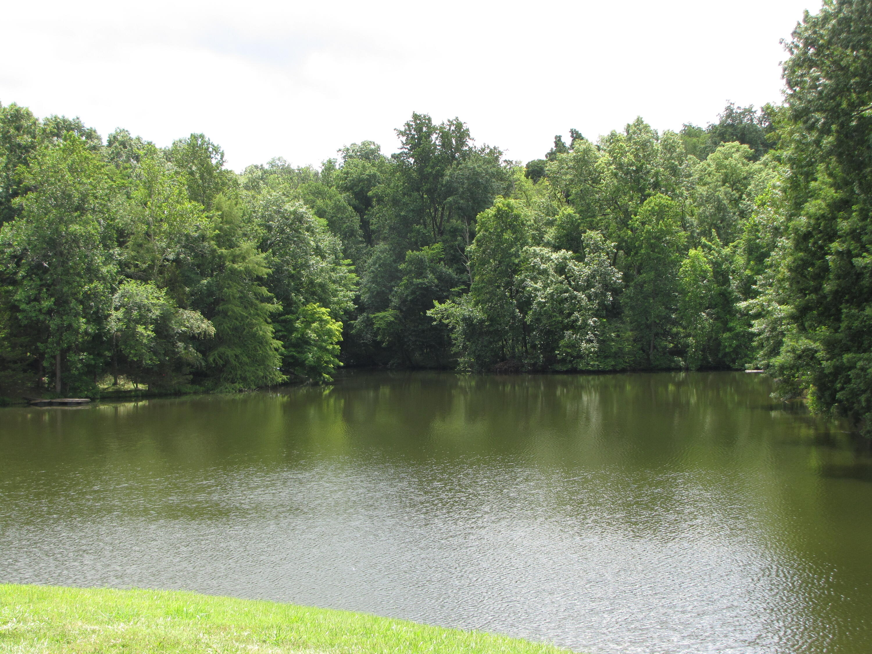 108 Sheldrake Court Property Photo 79