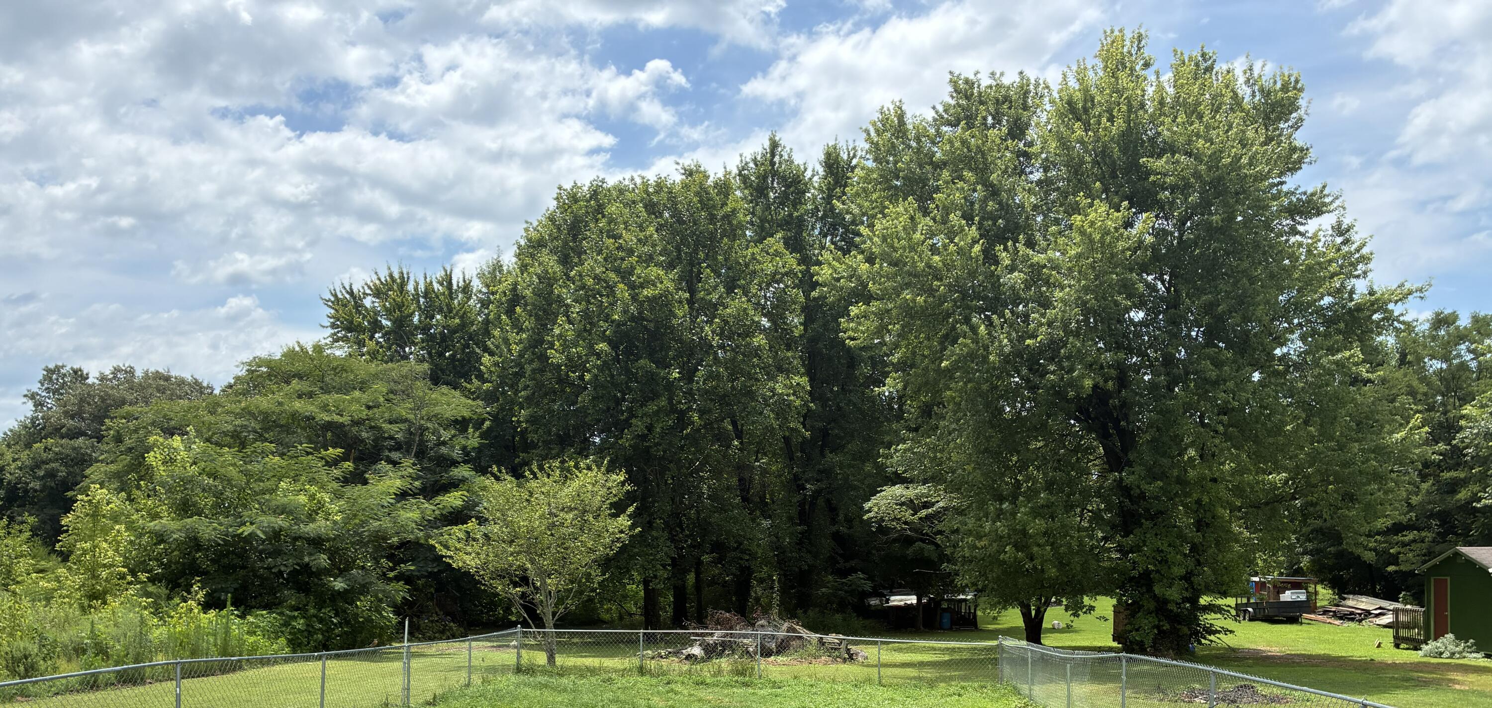 10174 Us-45 Property Photo 3