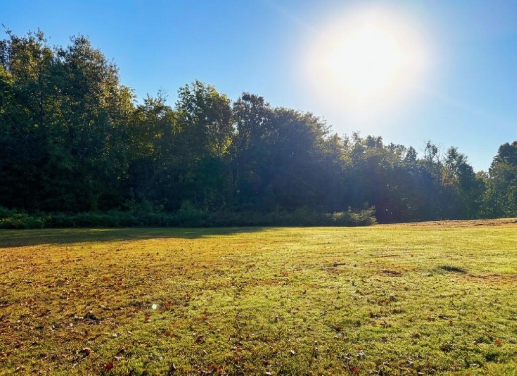 10471 Us-62 Property Photo 23