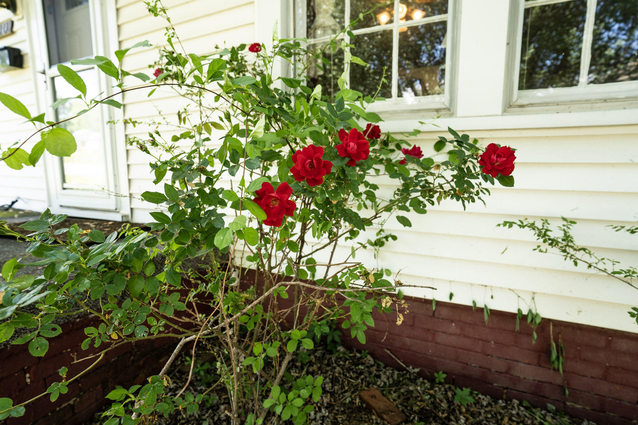 300 Dawson Road Property Photo 19