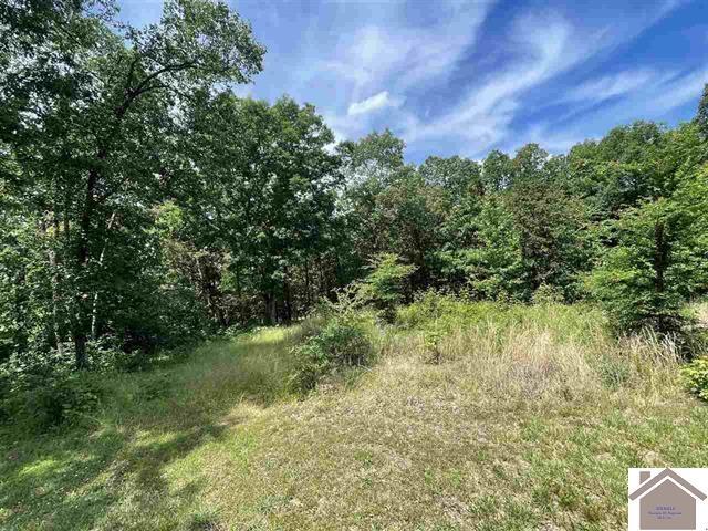 00 Dock Dr. Lot 66 Property Photo 1