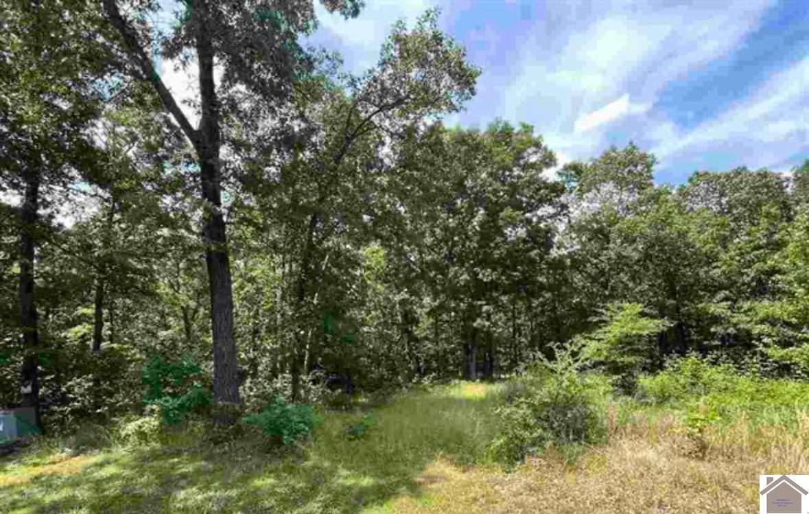 00 Dock Dr. Lot 66 Property Photo 2