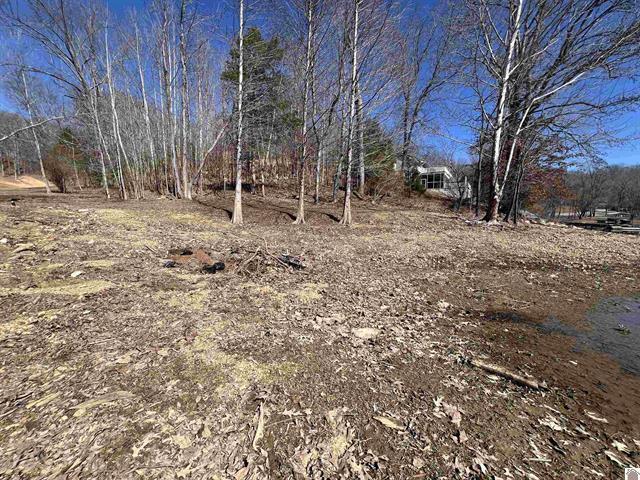 Tract 2 Oak Ridge Road Property Photo 7