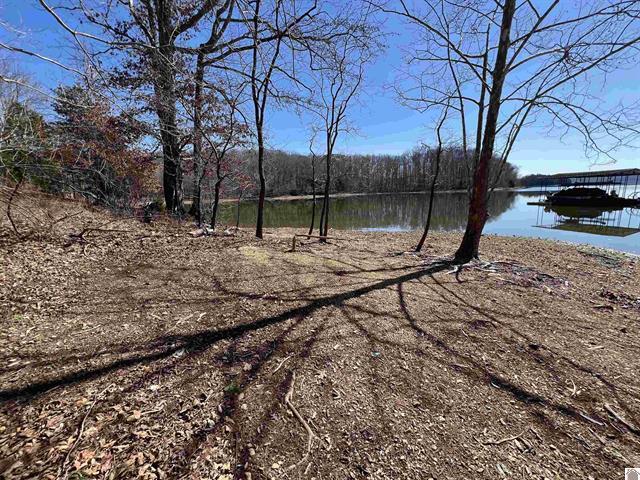 Tract 2 Oak Ridge Road Property Photo 10