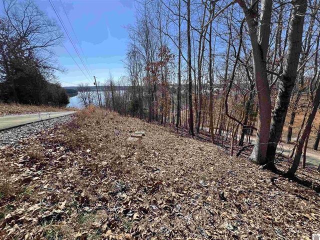 Tract 2 Oak Ridge Road Property Photo 12