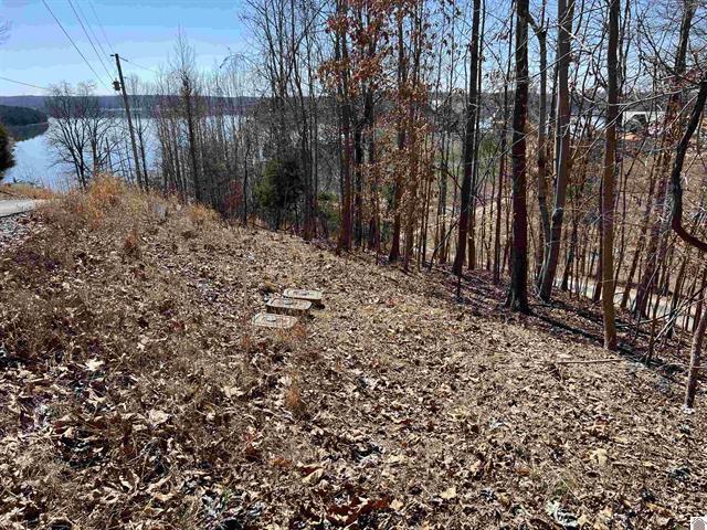 Tract 2 Oak Ridge Road Property Photo 13