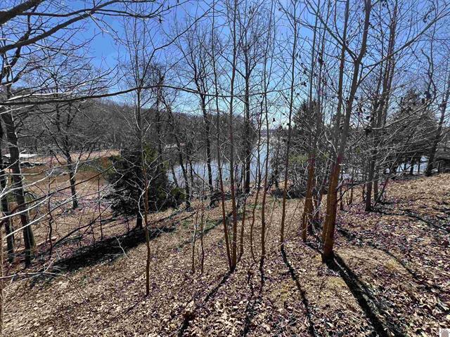Tract 2 Oak Ridge Road Property Photo 15