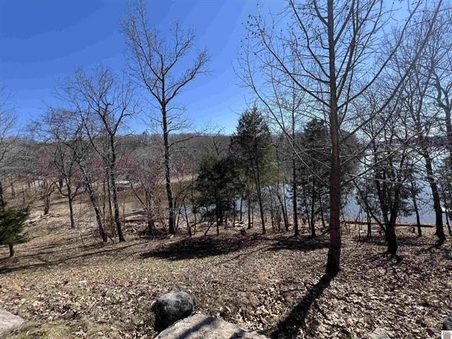 Tract 2 Oak Ridge Road Property Photo 17
