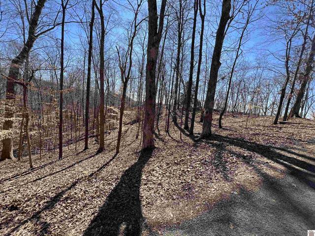 Tract 2 Oak Ridge Road Property Photo 18