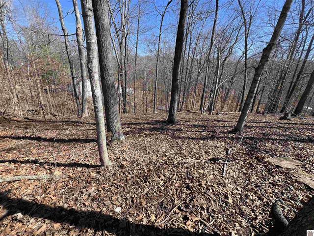 Tract 2 Oak Ridge Road Property Photo 20