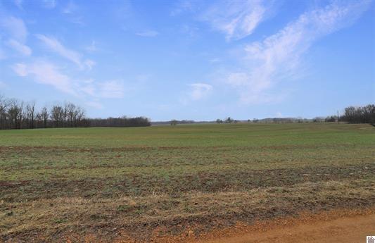073-0-0003 Atkins Trail Property Photo 6