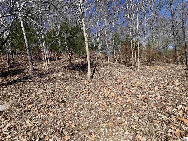 Tract 4 Oak Ridge Road Property Photo 7