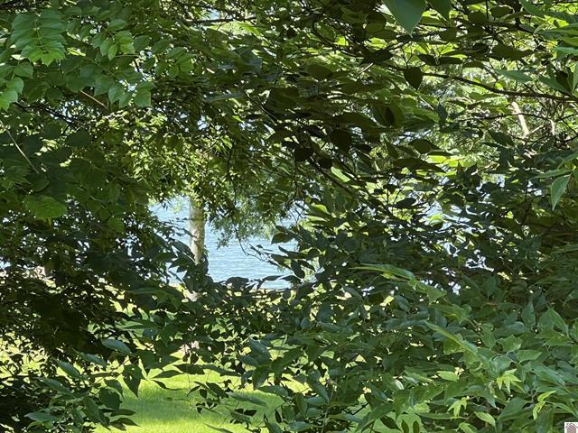 73 Lakeshore Drive Property Photo 12