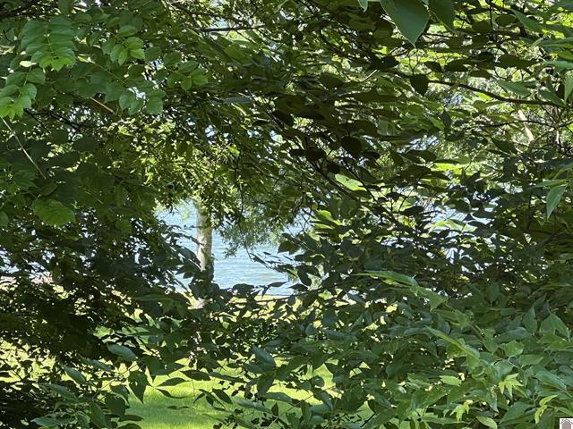73 Lakeshore Drive Property Photo 13