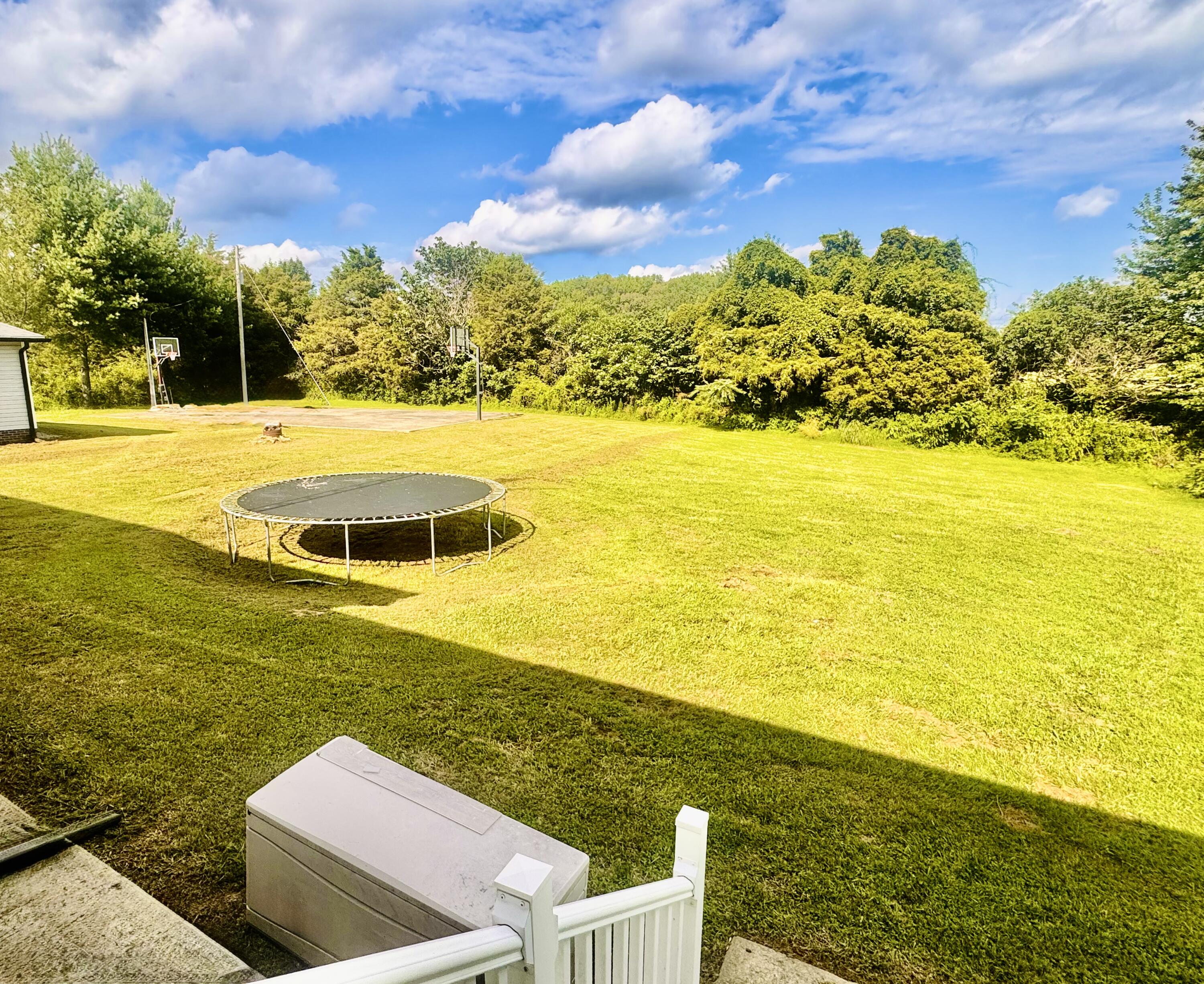 163 Holly Hock Drive Property Photo 14