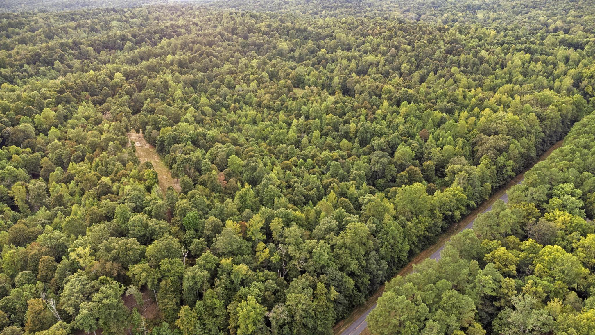 Land Rockcastle Road Property Photo 5