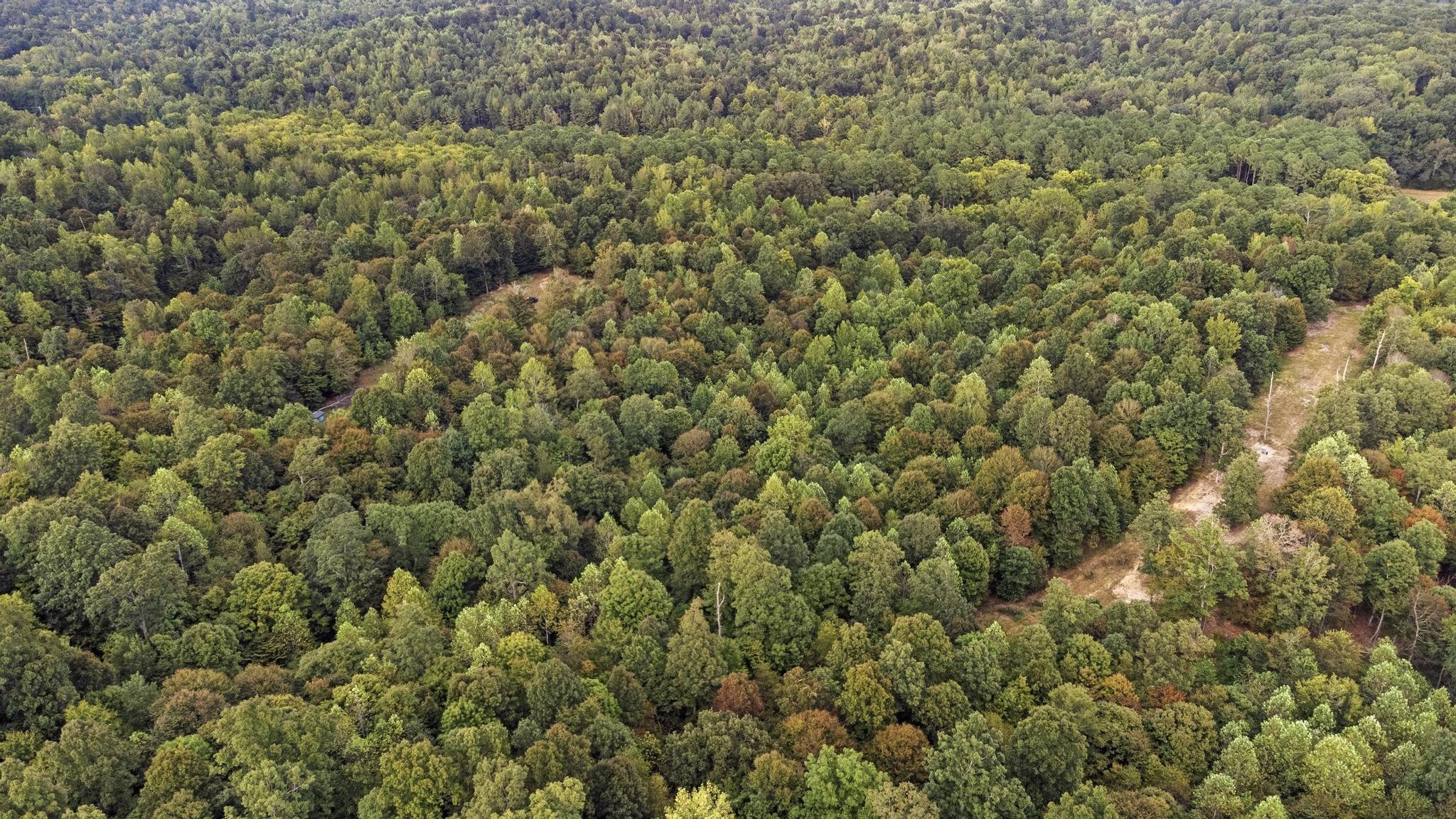Land Rockcastle Road Property Photo 6