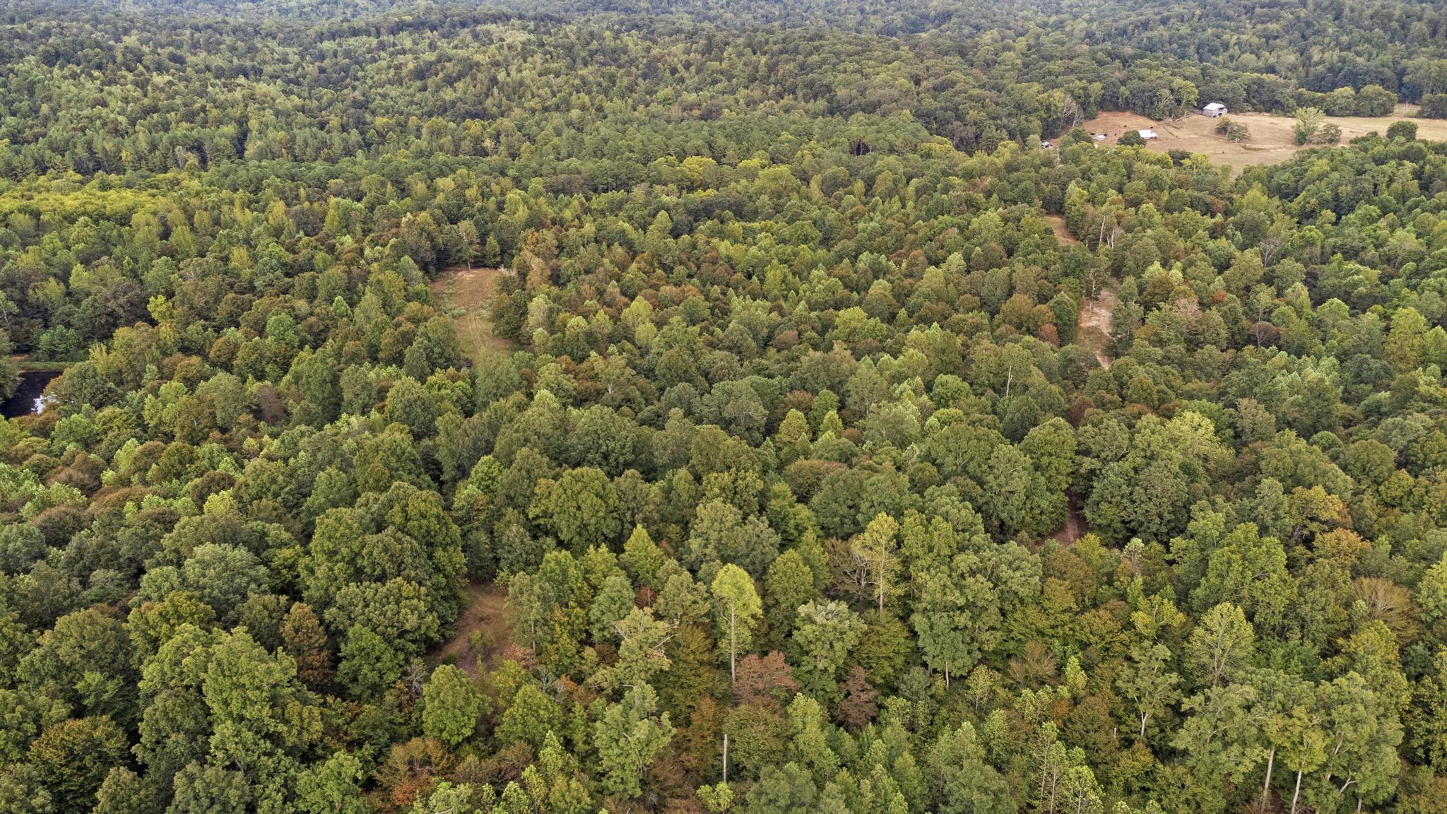 Land Rockcastle Road Property Photo 7