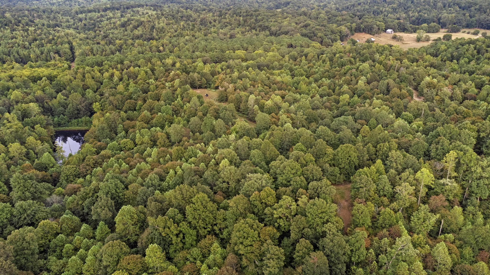 Land Rockcastle Road Property Photo 8