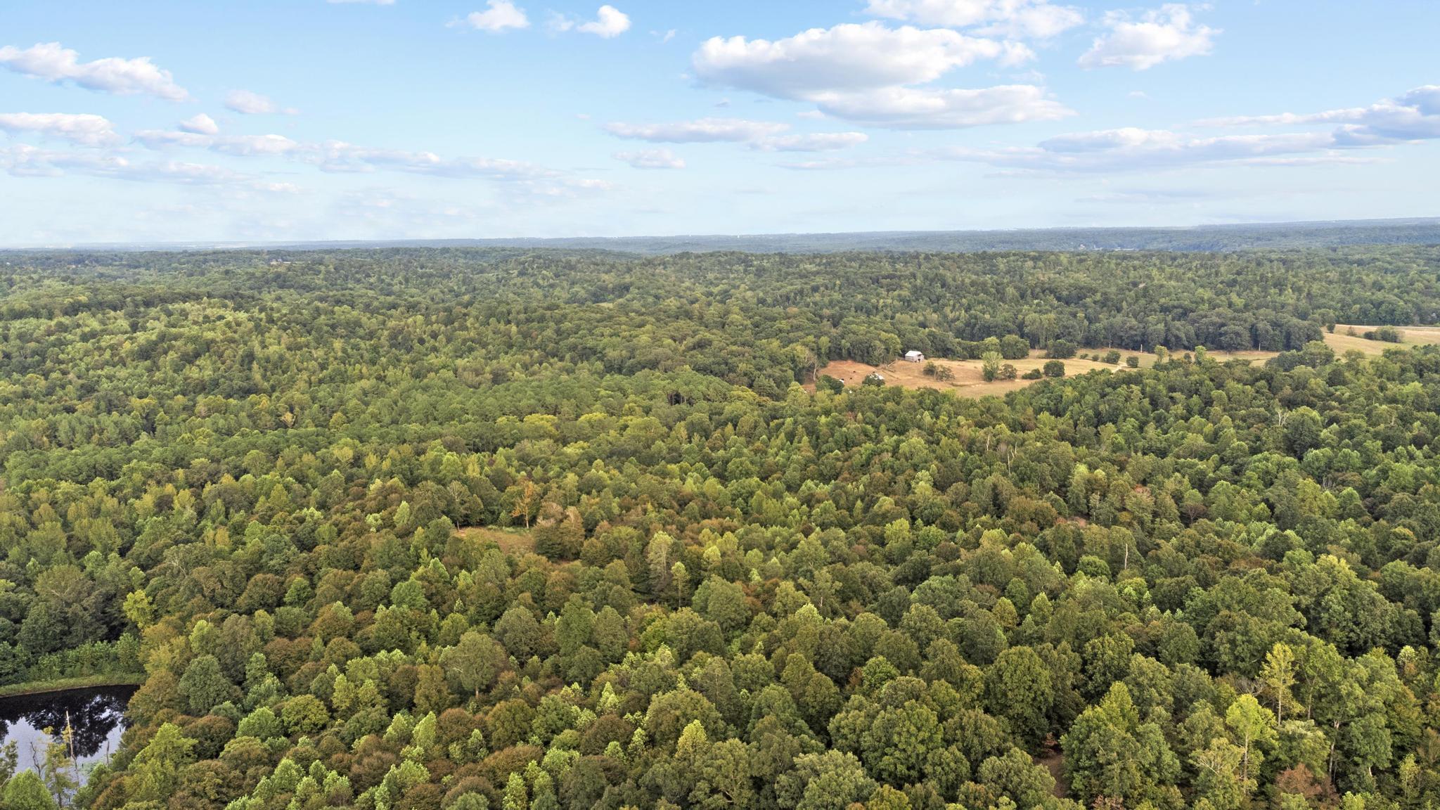 Land Rockcastle Road Property Photo 9