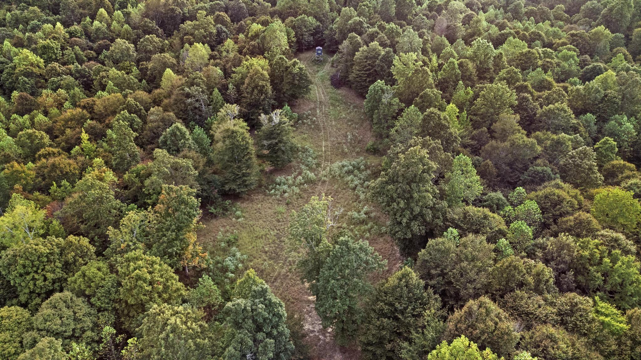 Land Rockcastle Road Property Photo 15