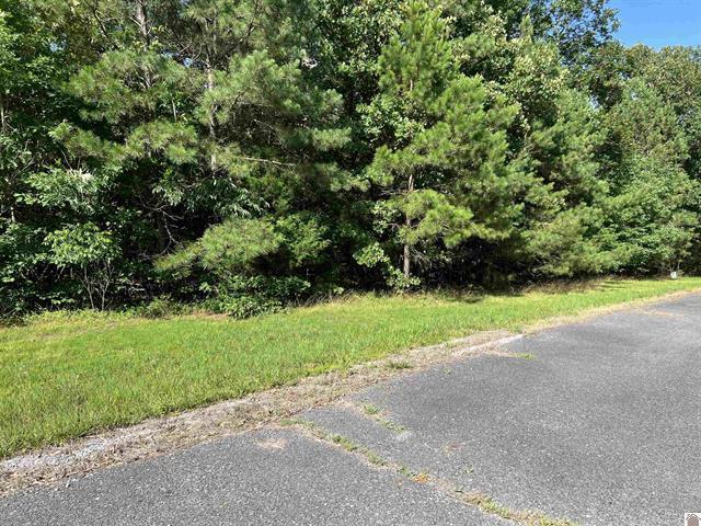 Unit 2 Lot 96 Briarfield Road Property Photo 3