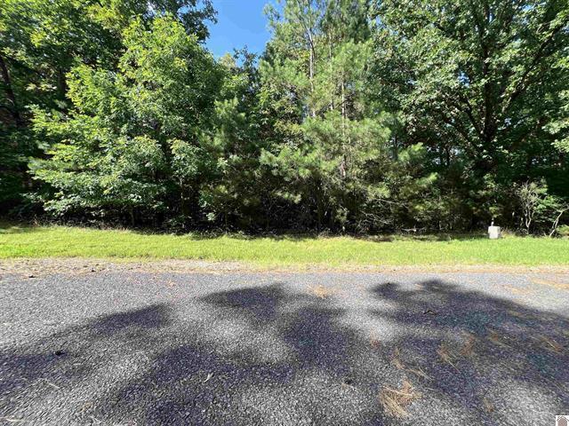 Unit 2 Lot 96 Briarfield Road Property Photo 20