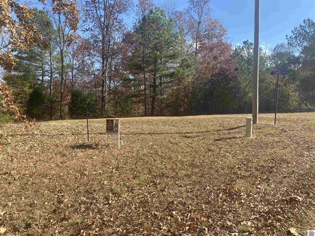 Lot 1 Faust Road Property Photo 5