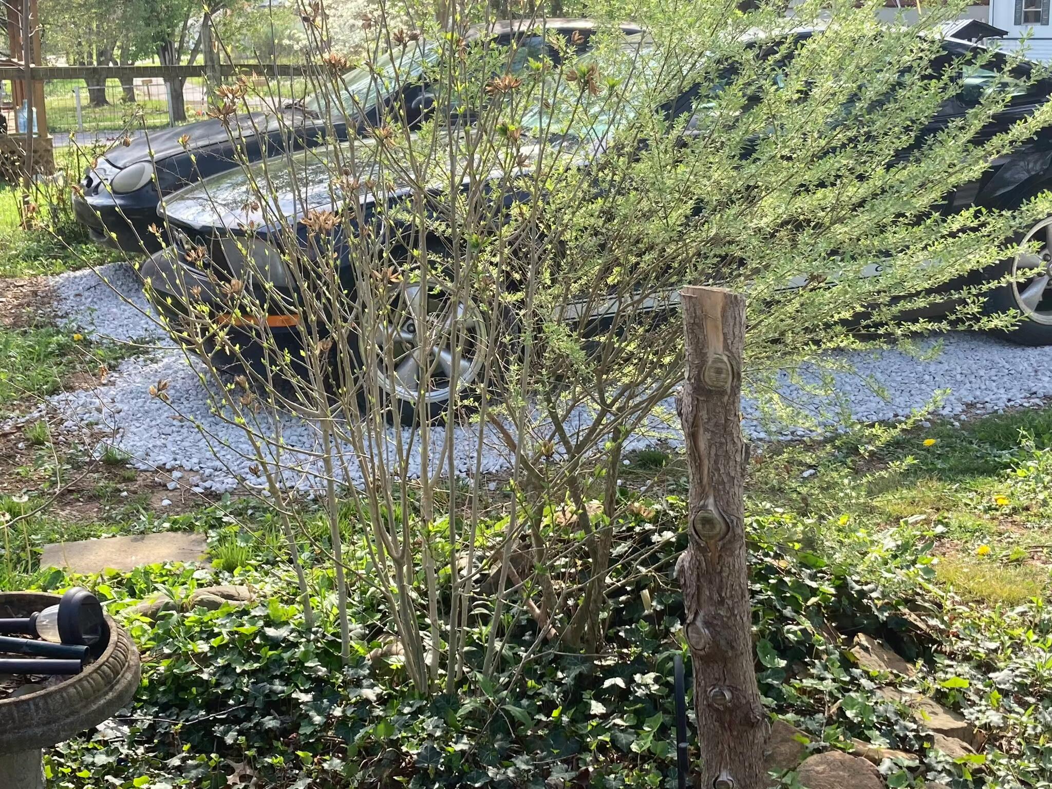 102 Davis Street Property Photo 5