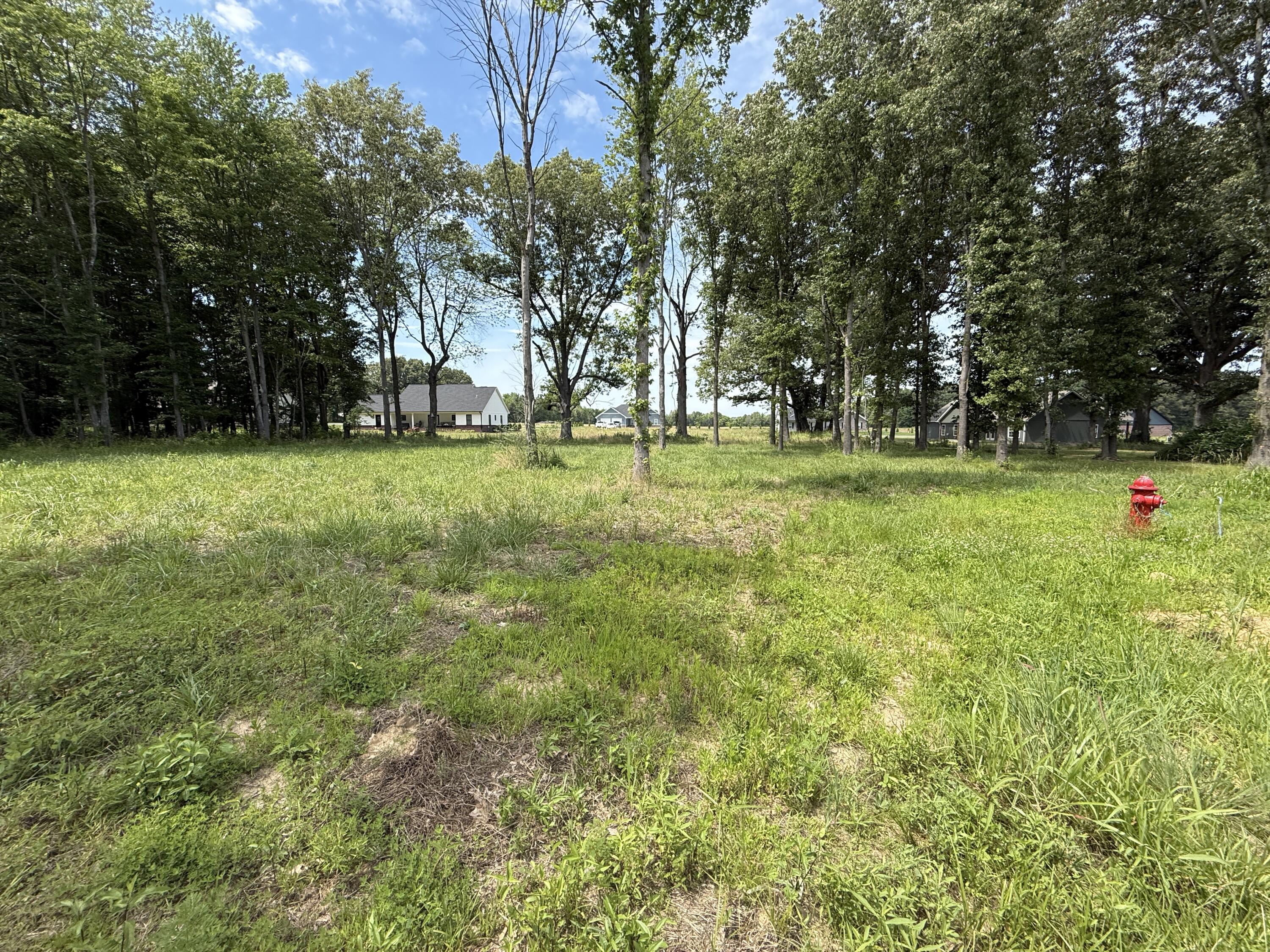 99 Ellie Court Property Photo 4