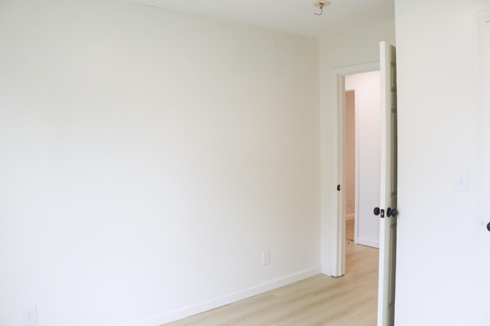 311 Willow Street Property Photo 19