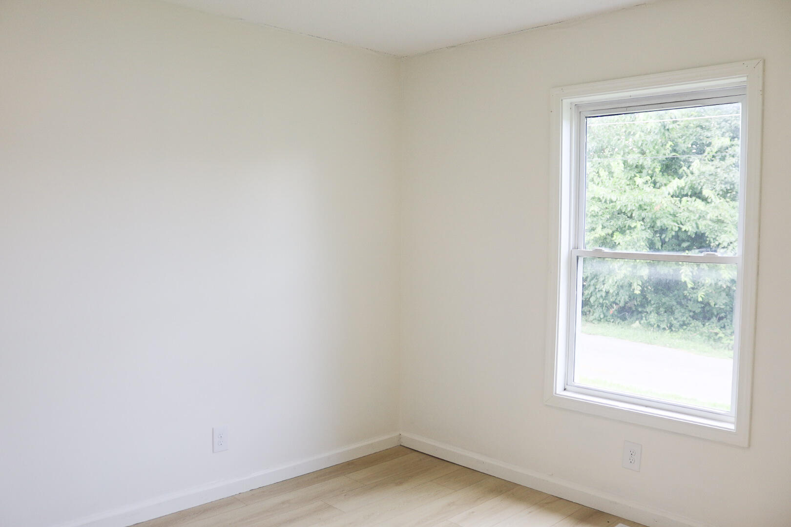 311 Willow Street Property Photo 20
