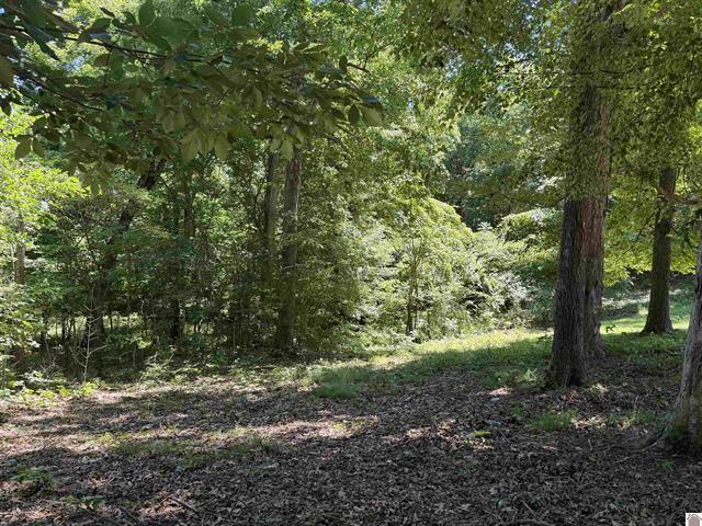 1742 Ed Mitchell Road Property Photo 14