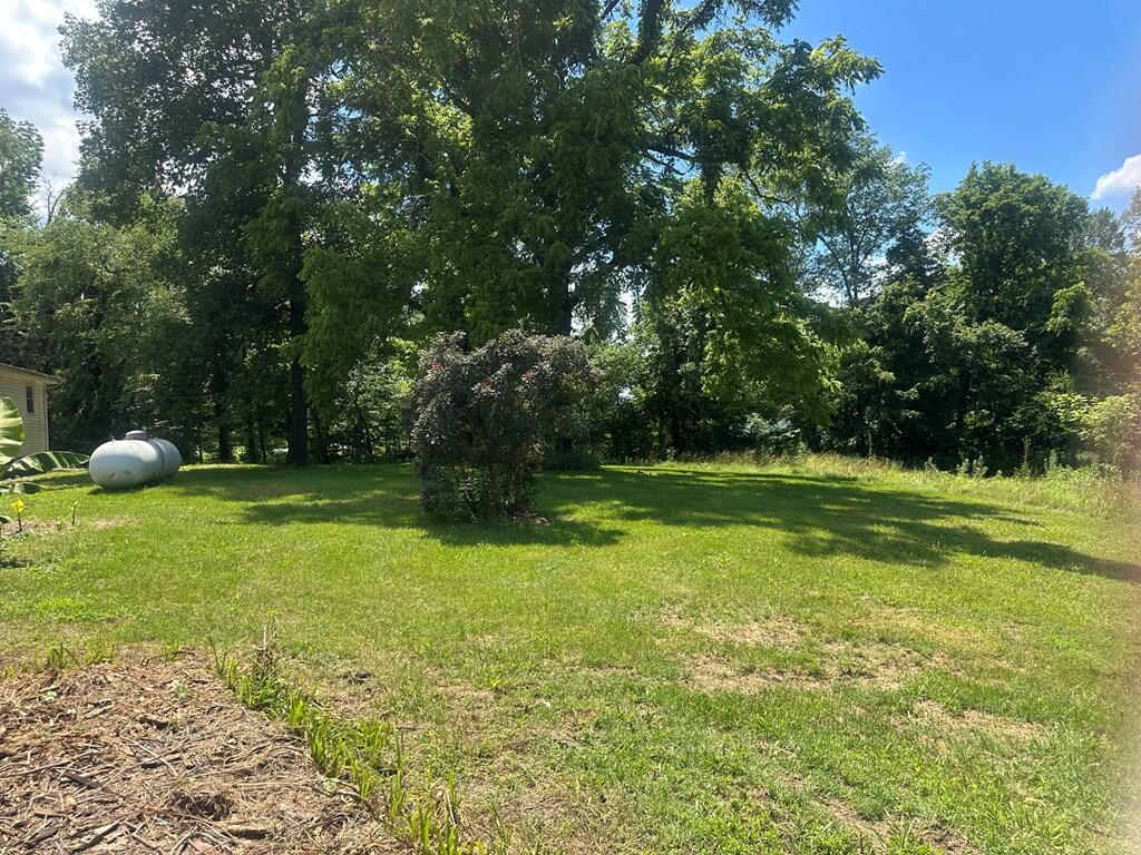 7253 Morgantown Road Property Photo 22