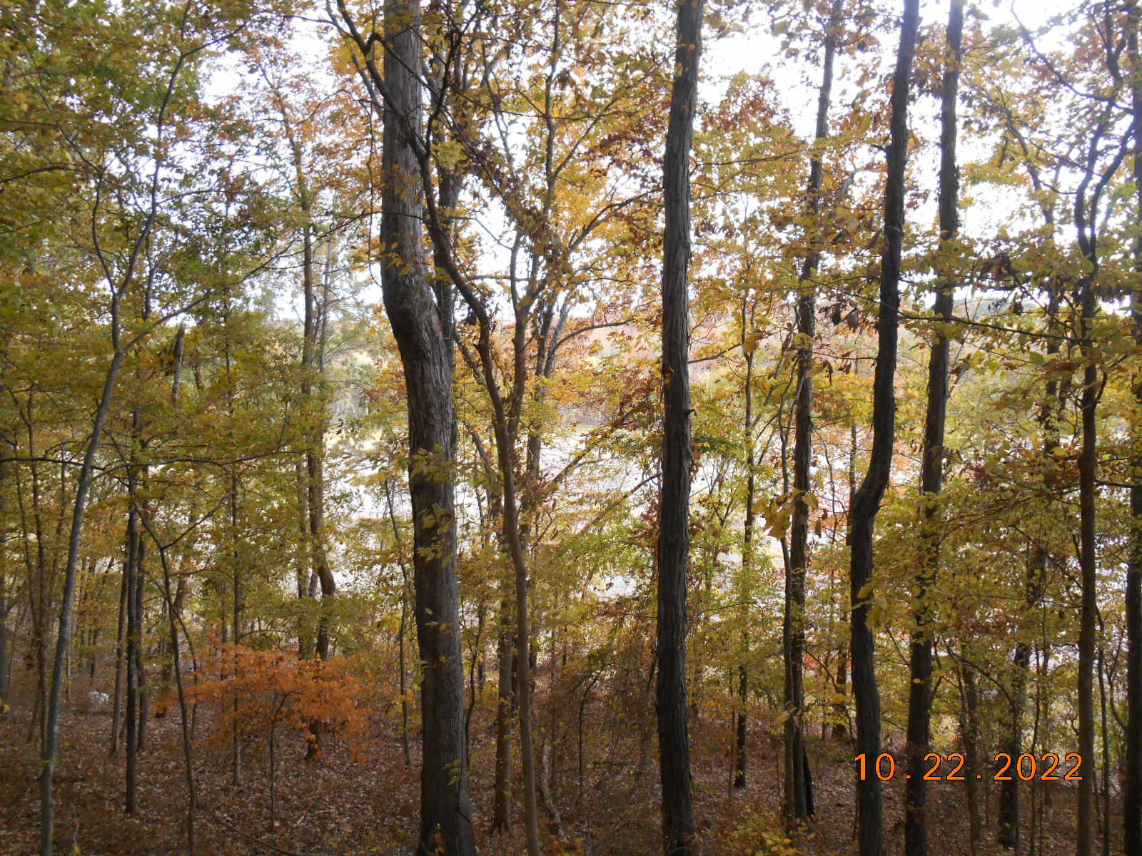 0 Crane Lane Property Photo 9