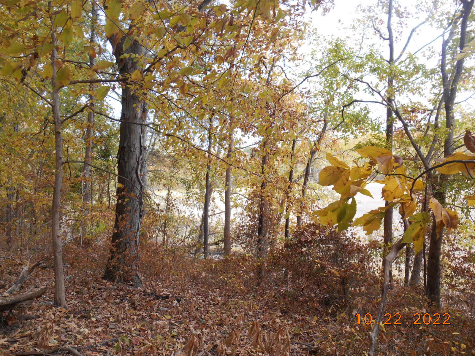 0 Crane Lane Property Photo 10