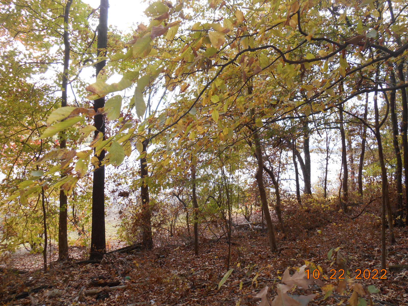 0 Crane Lane Property Photo 11