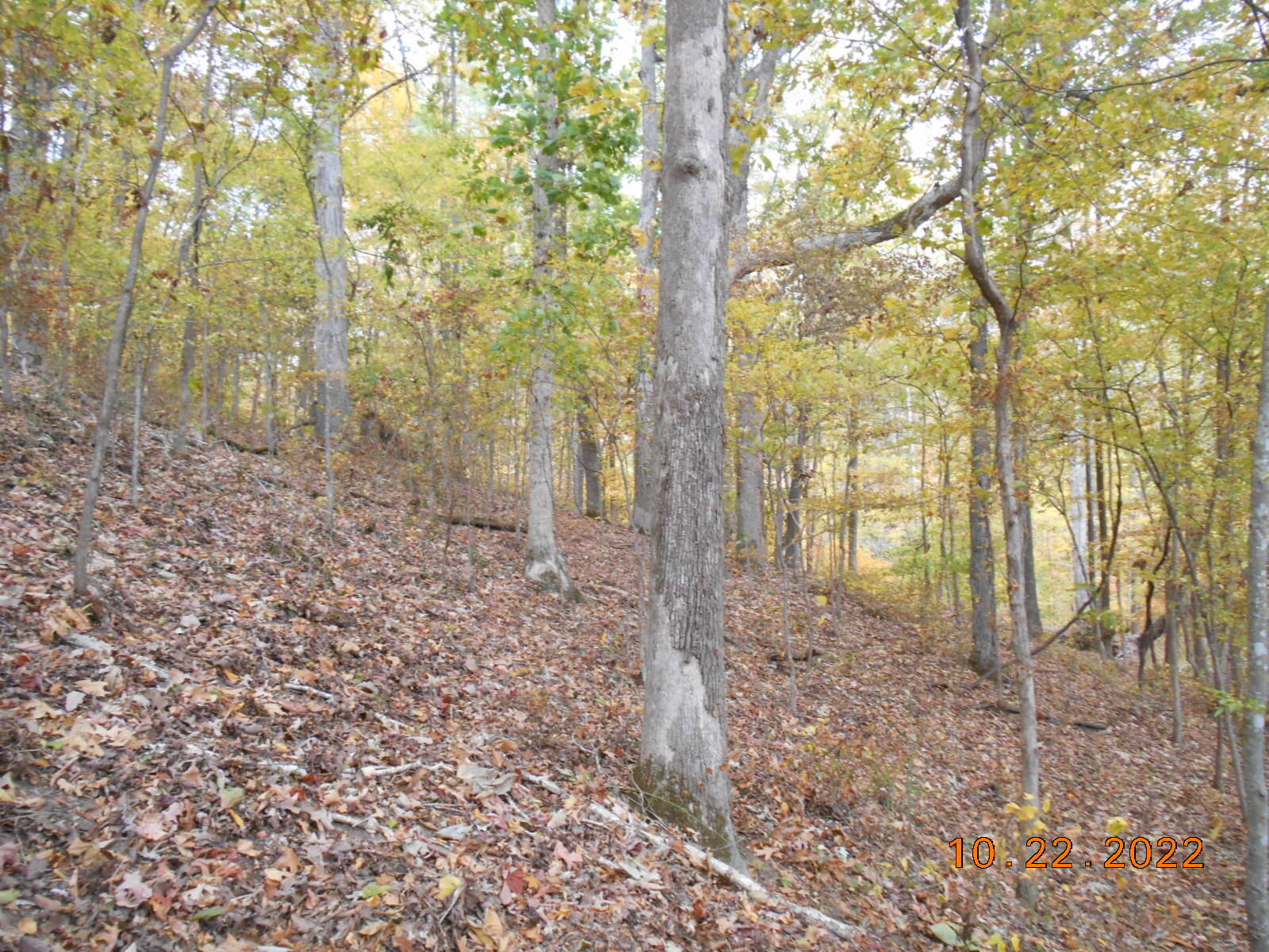 0 Crane Lane Property Photo 12